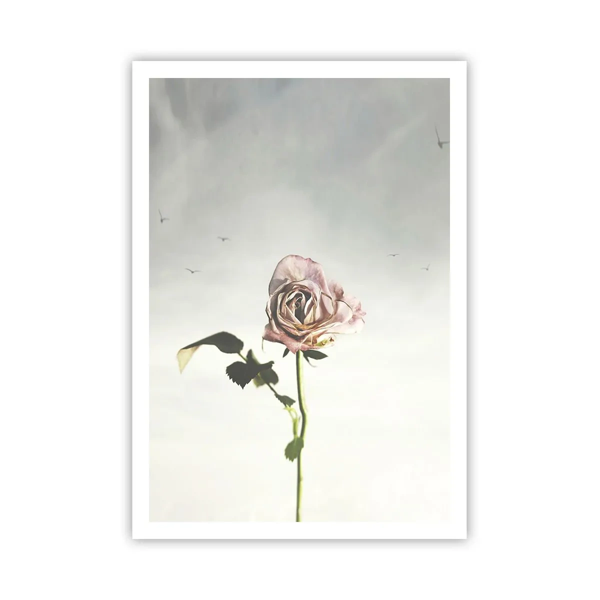 Poster - Welcoming of Spring - 70x100 cm