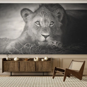Self-Adhesive Photo Wallpaper Deluxe Sticker - Royal Puppy - Animals, Lion, Black and white - 400x280 cm