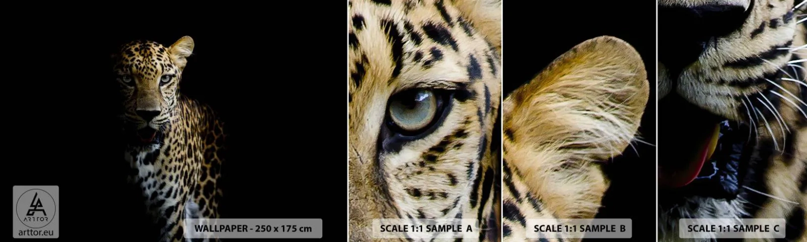 Photo Wallpaper Sample Self-Adhesive Deluxe Sticker - Dark Beauty - Animals, leopard, Wild cat - 100x30 cm