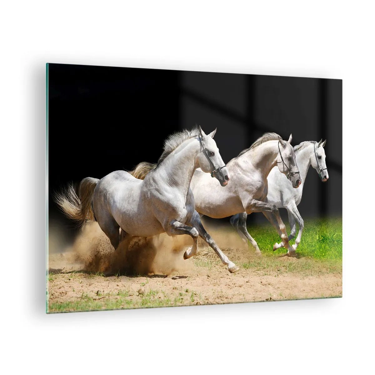 Glass picture - Three white horses galloping across the sandy ground - 70x50cm - The Three Graces - Modern wall decoration for the living room and bedroom ARTTOR