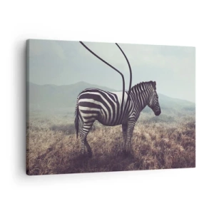 Canvas picture - A surreal zebra against a grassy landscape - 70x50cm - Attention! Faulty Design - Modern wall decoration for the living room and bedroom ARTTOR