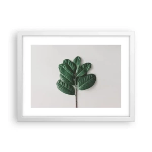 Poster in white frmae - Drawing of Nature Itself - 40x30 cm
