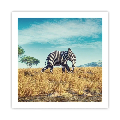 Poster - Greyness Is Not In Fashion - 60x60 cm