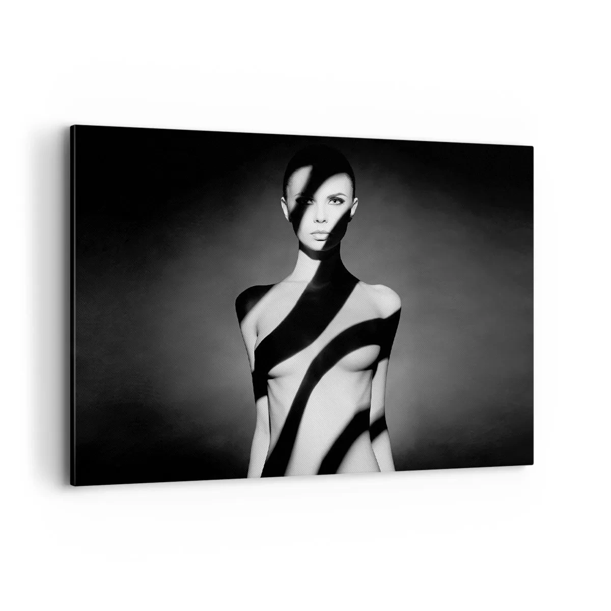 Canvas picture - In the Light and in the Shadow - 100x70 cm