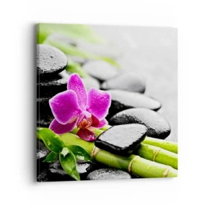 Canvas picture - In a Peaceful Balance - 40x40 cm