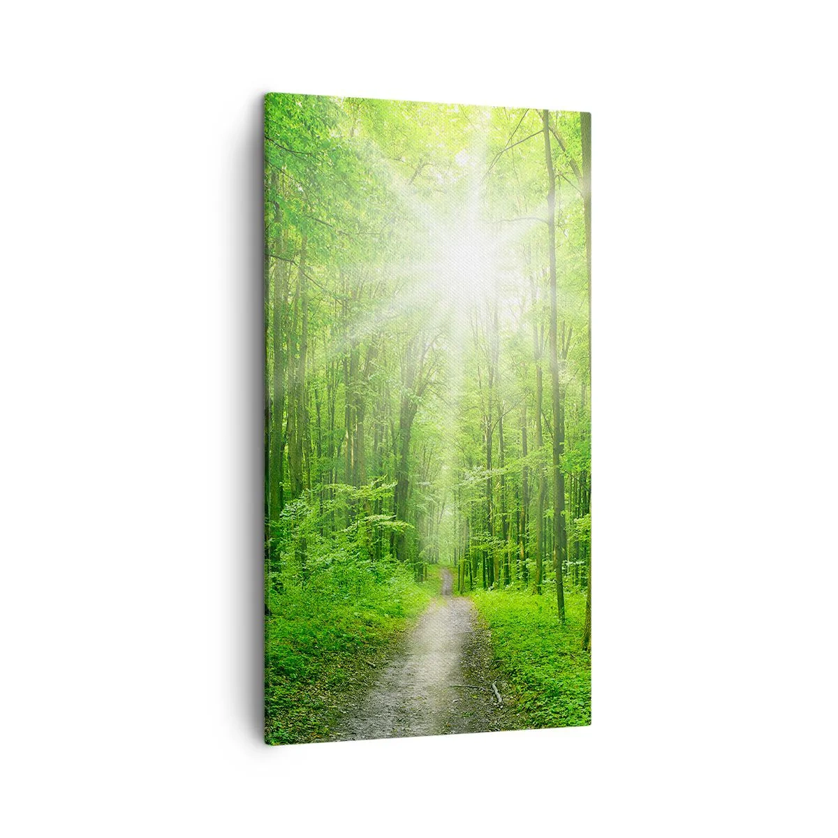 Canvas picture - Green Cathedral - 45x80 cm
