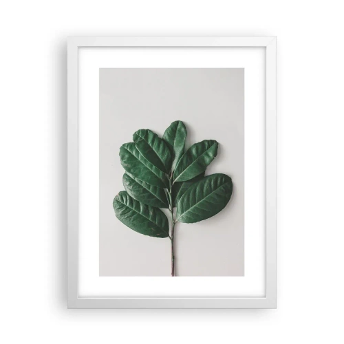 Poster in white frmae - Drawing of Nature Itself - 30x40 cm