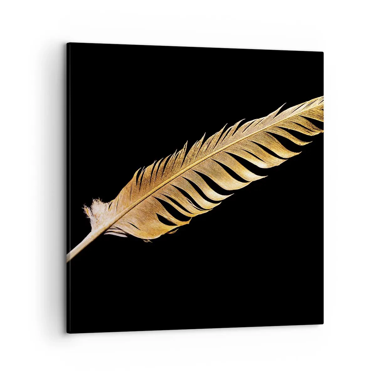 Canvas picture - High-Class Feather - 50x50 cm