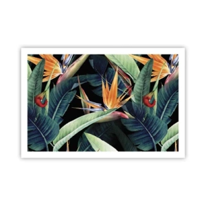 Poster - Flaming Flowers of the Tropics - 91x61 cm