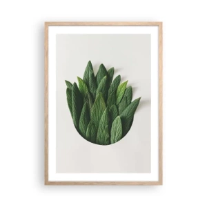 Poster in light oak frame - Untamed Curiosity - 50x70 cm