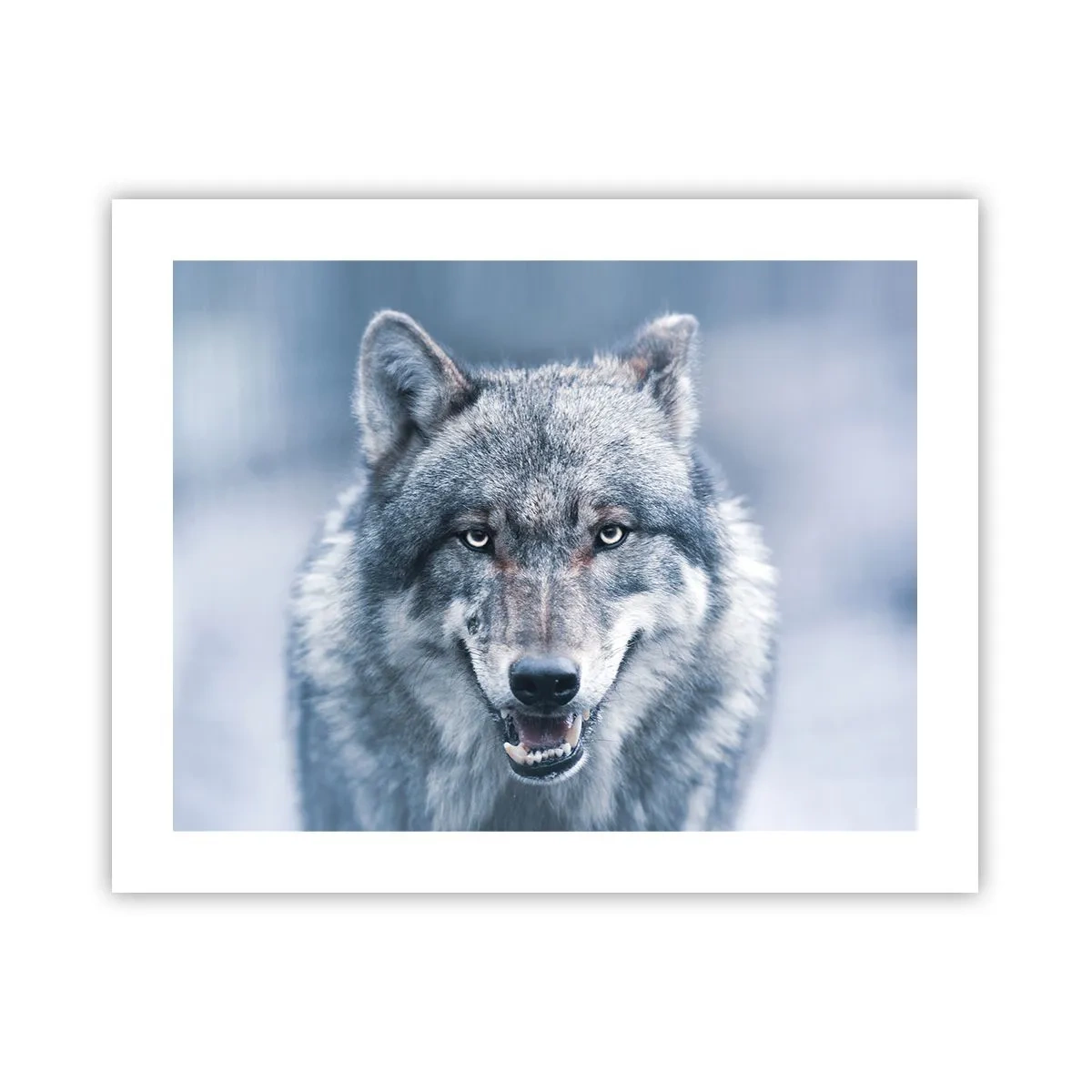 Poster - Will You Take Up the Challenge? - 50x40 cm