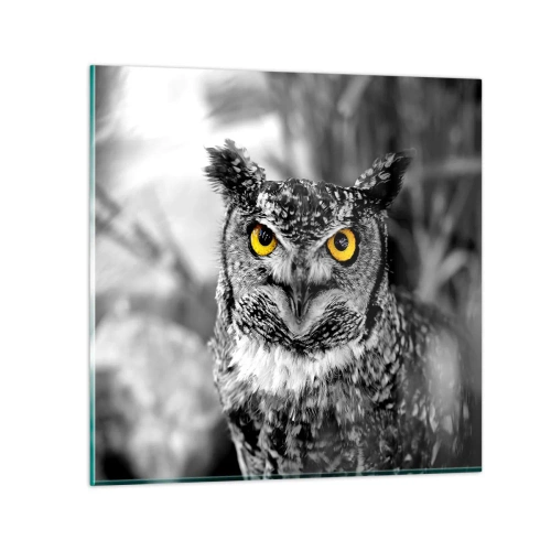 Glass picture - Nothing Can Hide - 50x50 cm