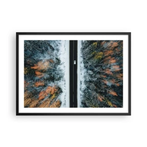 Poster in black frame - Through a Wintery Forest - 70x50 cm