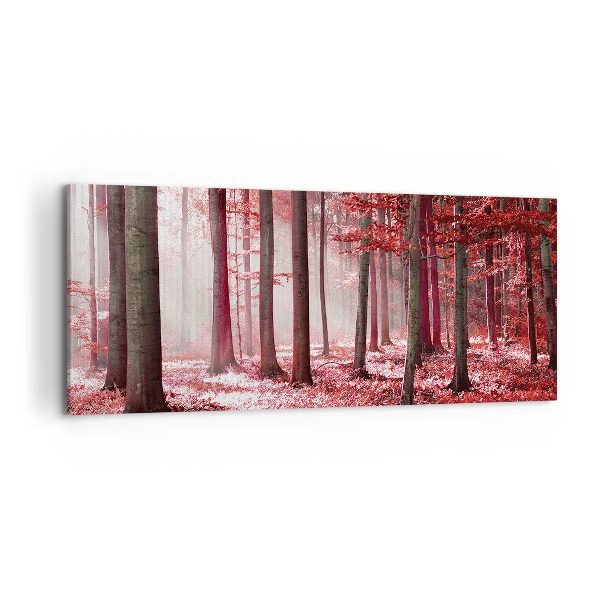 Canvas picture - Red Equally Beautiful - 120x50 cm