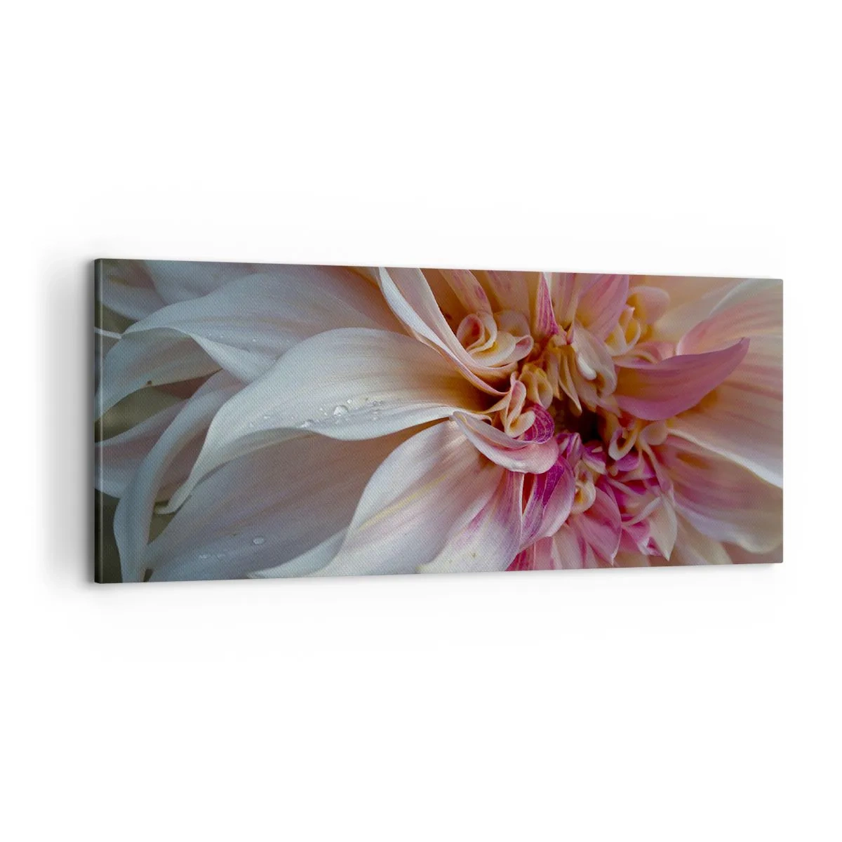 Canvas picture - Blooming Freshness - 100x40 cm