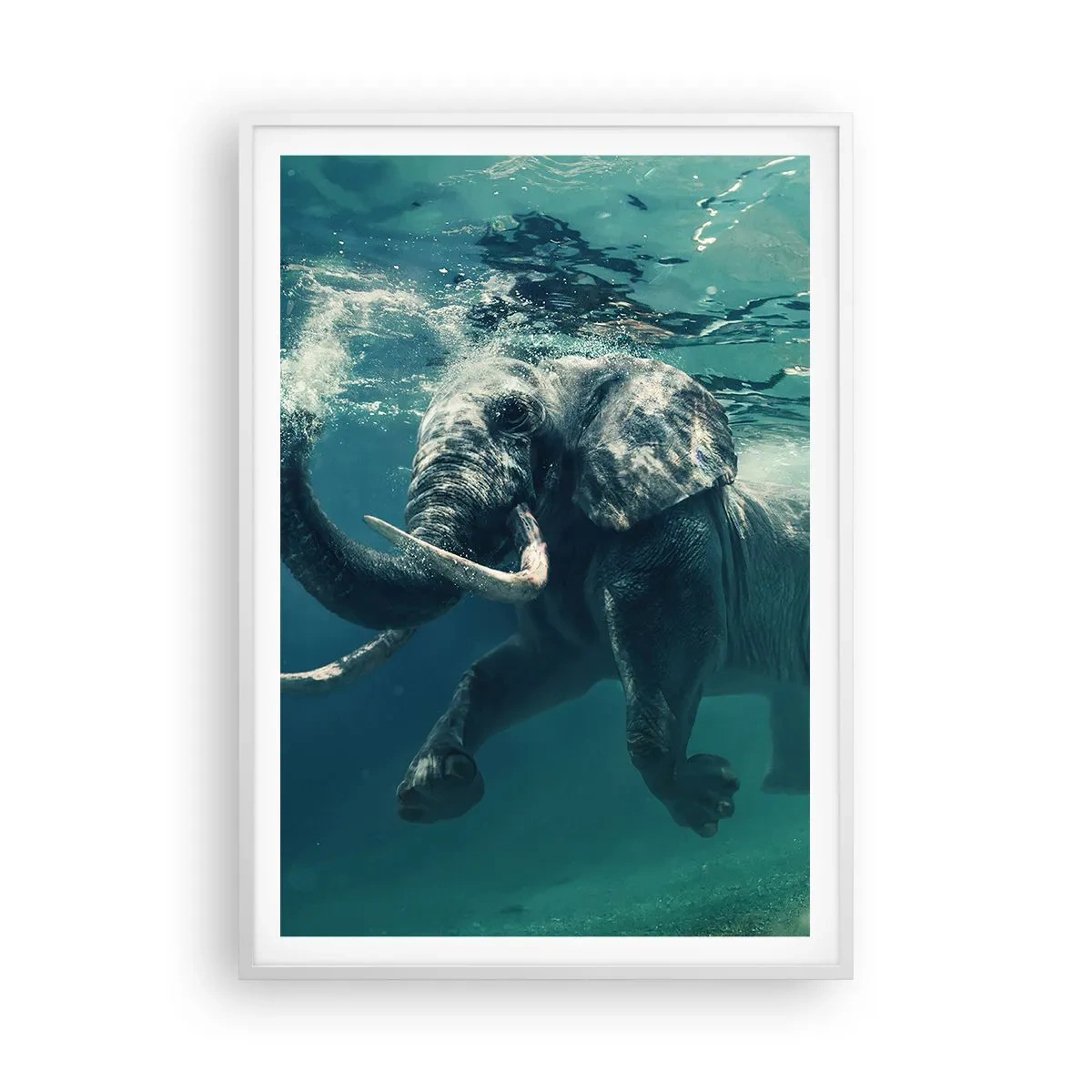 Poster in white frmae - Everyone Likes to Swim - 70x100 cm