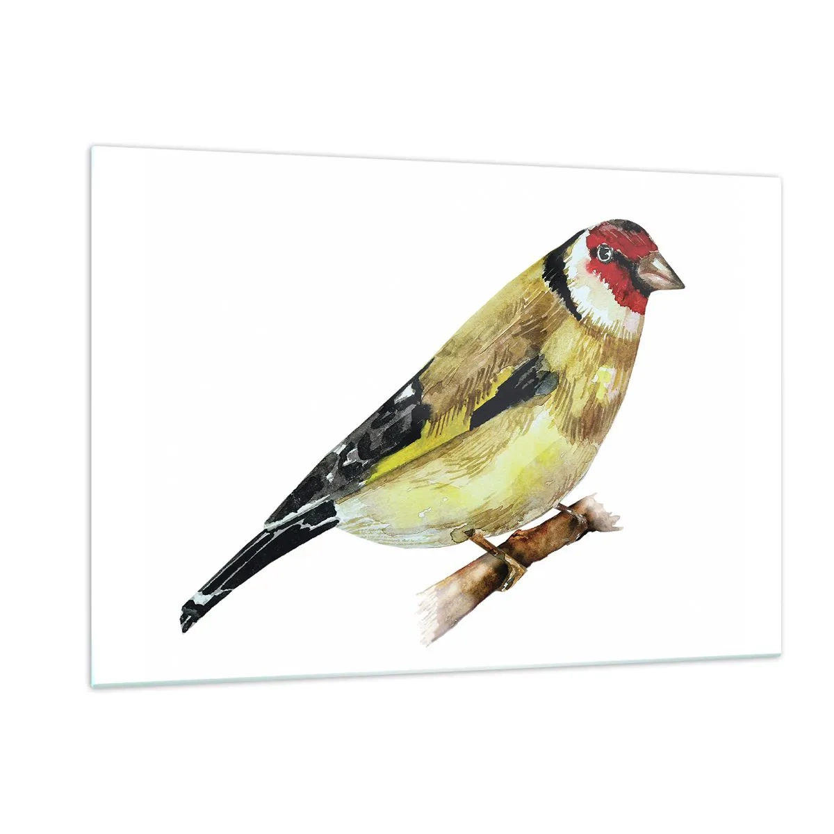 Glass picture - Bird Portrait - 120x80 cm