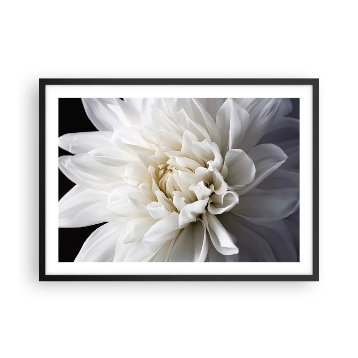 Poster in black frame - Bride's Morning - 70x50 cm