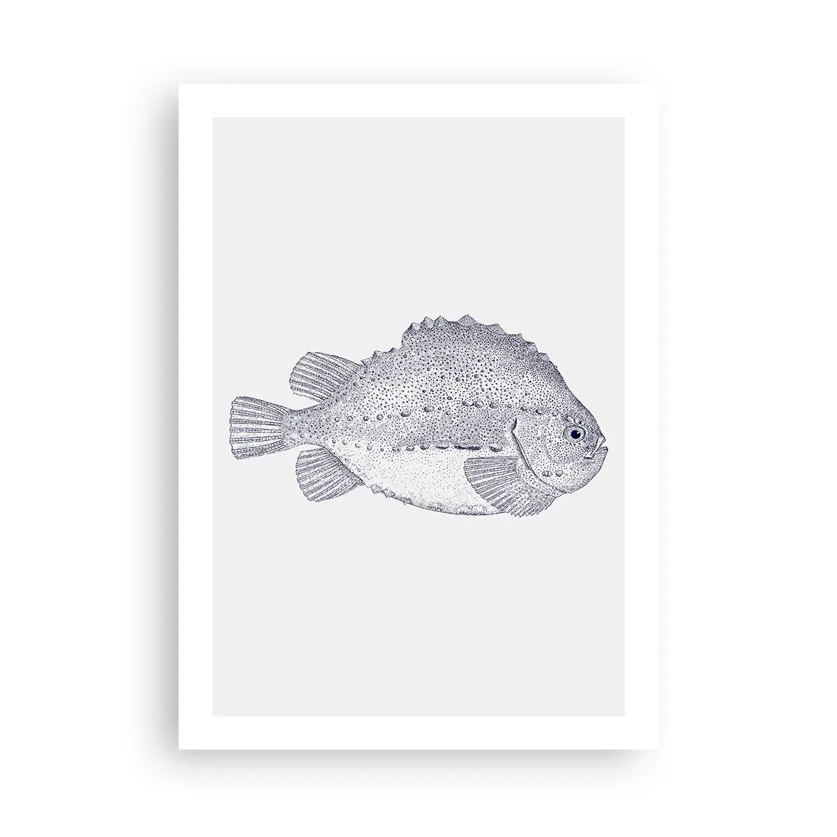 Poster - For Natural Scientist's Album - 50x70 cm