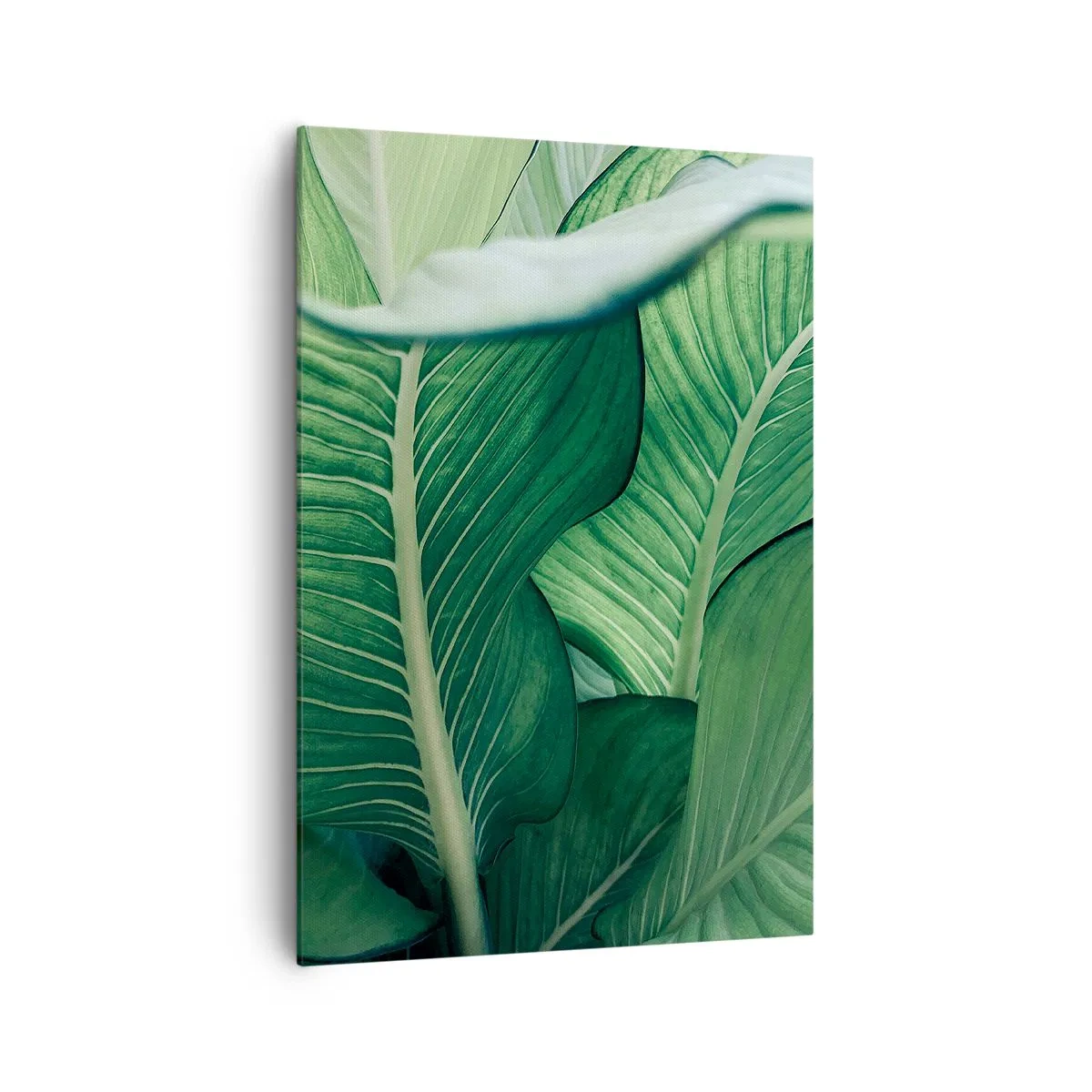 Canvas picture - Life in Intense Green Colour - 70x100 cm