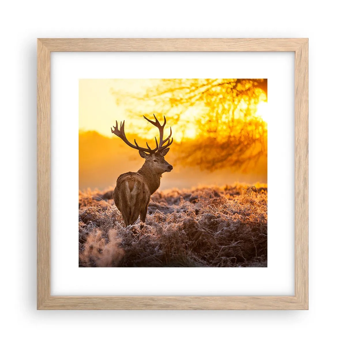 Poster in light oak frame - King of Autumnal Forest - 30x30 cm