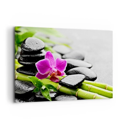 Canvas picture - In a Peaceful Balance - 100x70 cm