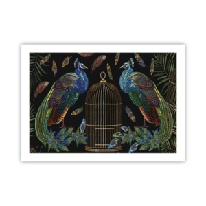Poster - In Royal Robes - 70x50 cm