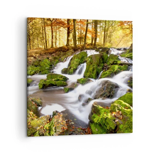 Canvas picture - Gingerly through an Autumnal Forest - 50x50 cm