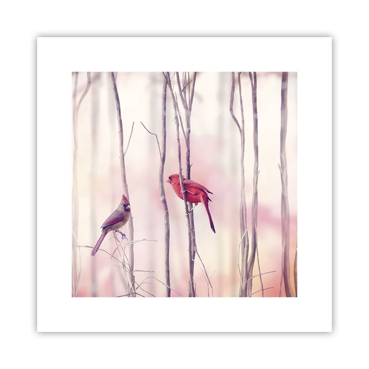Poster - Tale of a Pink Forest - 30x30 cm