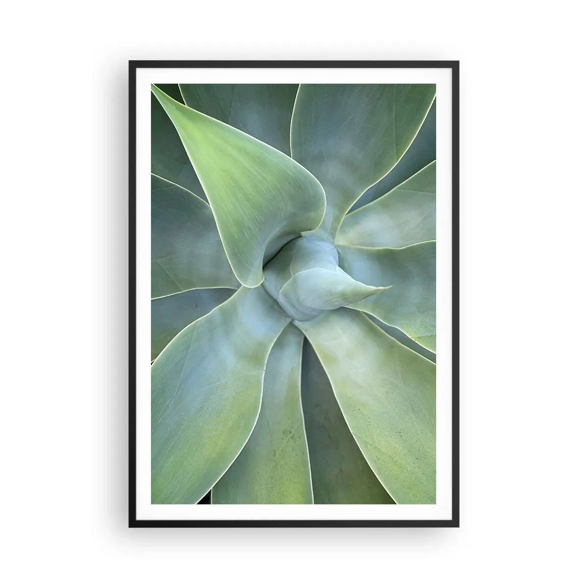 Poster in black frame - Birth of Green - 70x100 cm