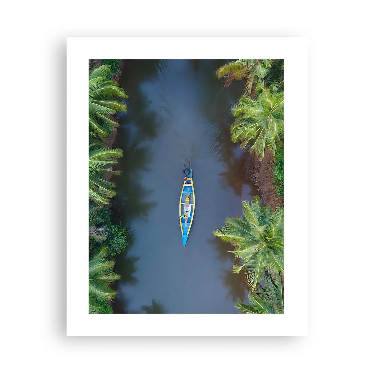 Poster - On Tropical Trail - 40x50 cm