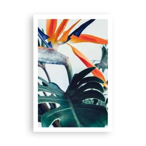 Poster - Birdy Bush - 61x91 cm