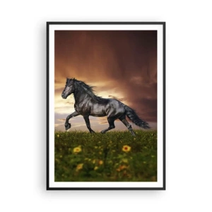 Poster in black frame - Black Prince - 70x100 cm