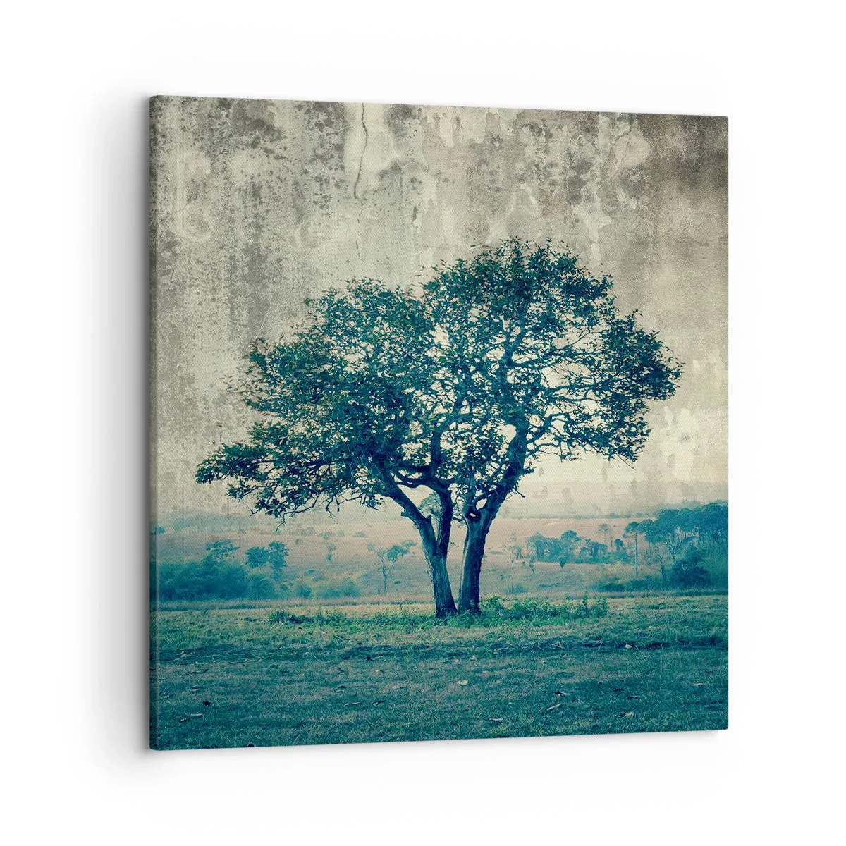 Canvas picture - Apple Tree in Blue? - 50x50 cm