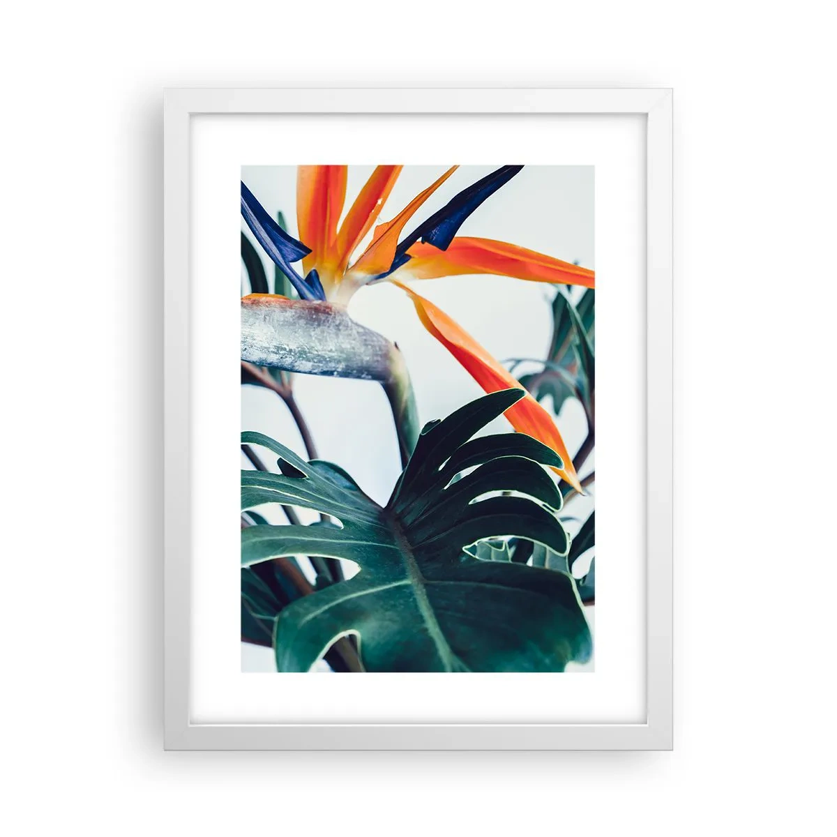 Poster in white frmae - Birdy Bush - 30x40 cm