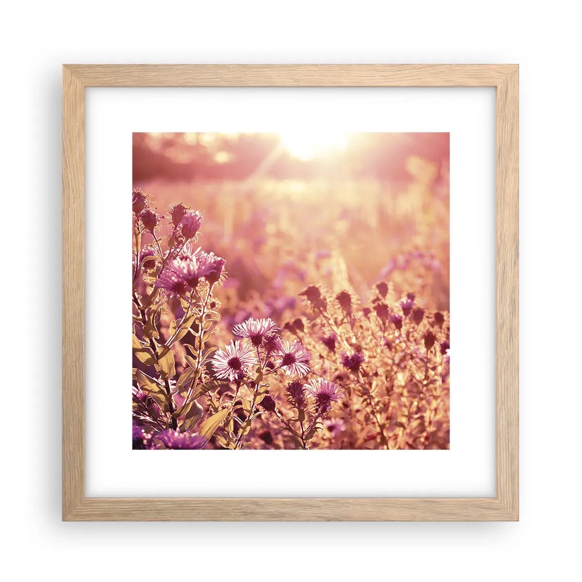 Poster in light oak frame - Before Summer Goes - 30x30 cm