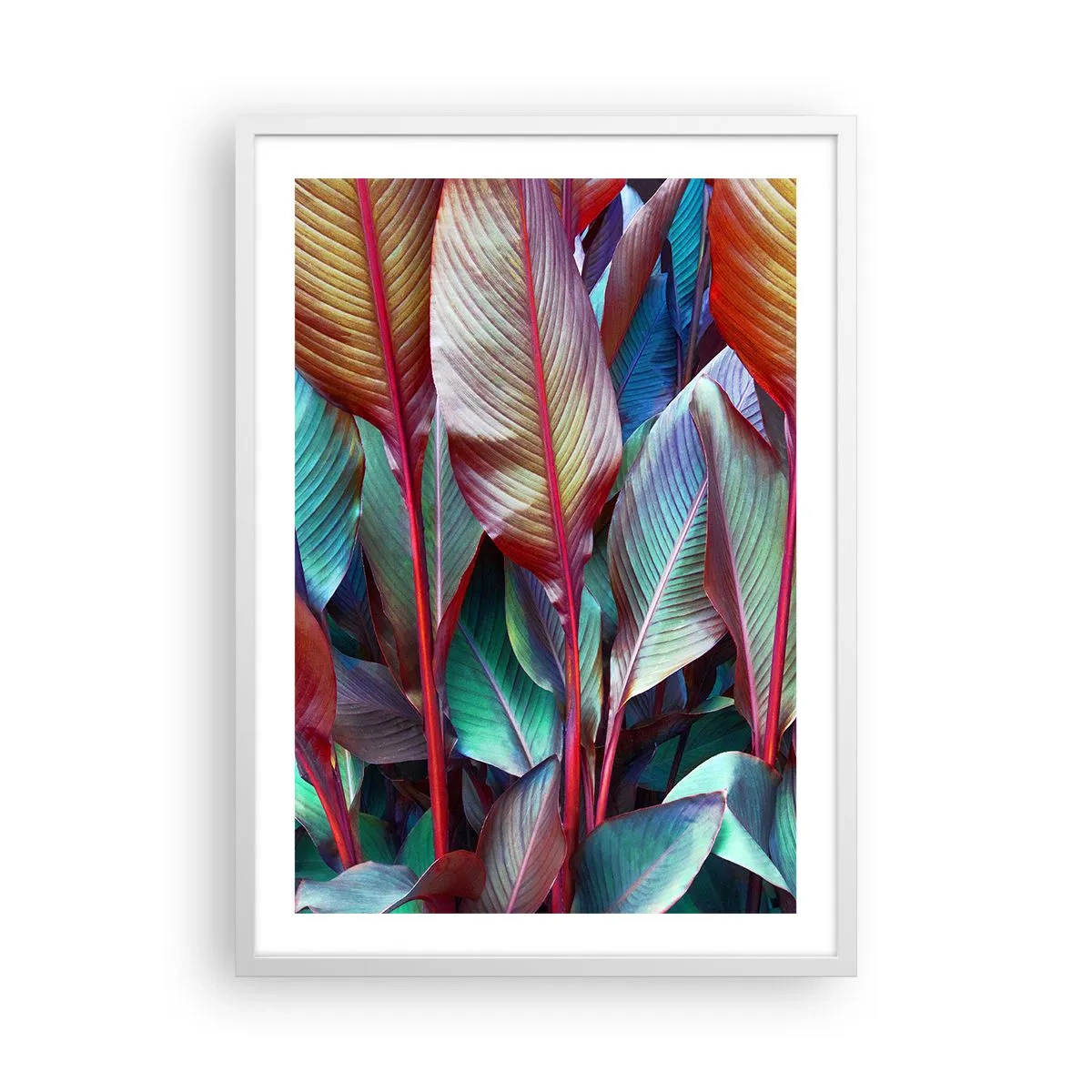 Poster in white frmae - Colourful Thicket - 50x70 cm