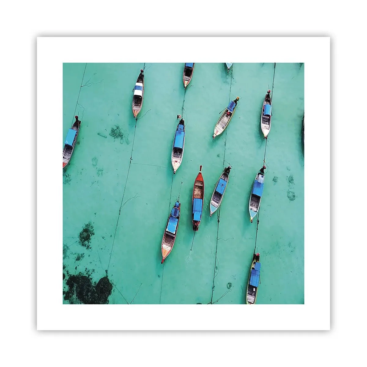 Poster - In Joyful Expectation - 40x40 cm