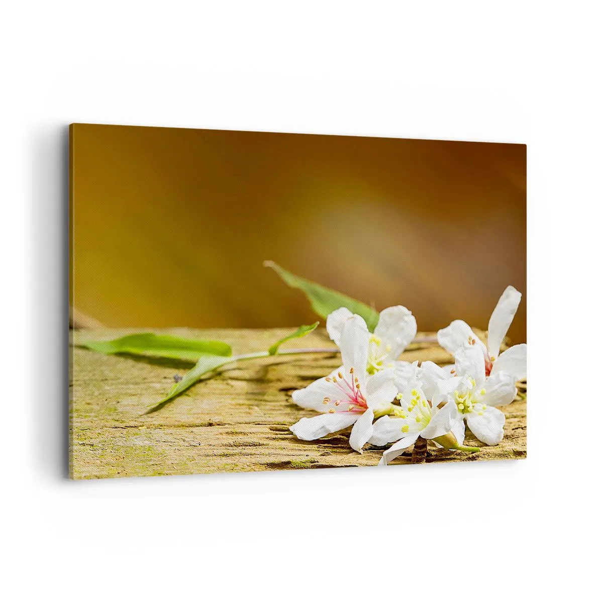 Canvas picture - Innocent Promise - 120x80 cm