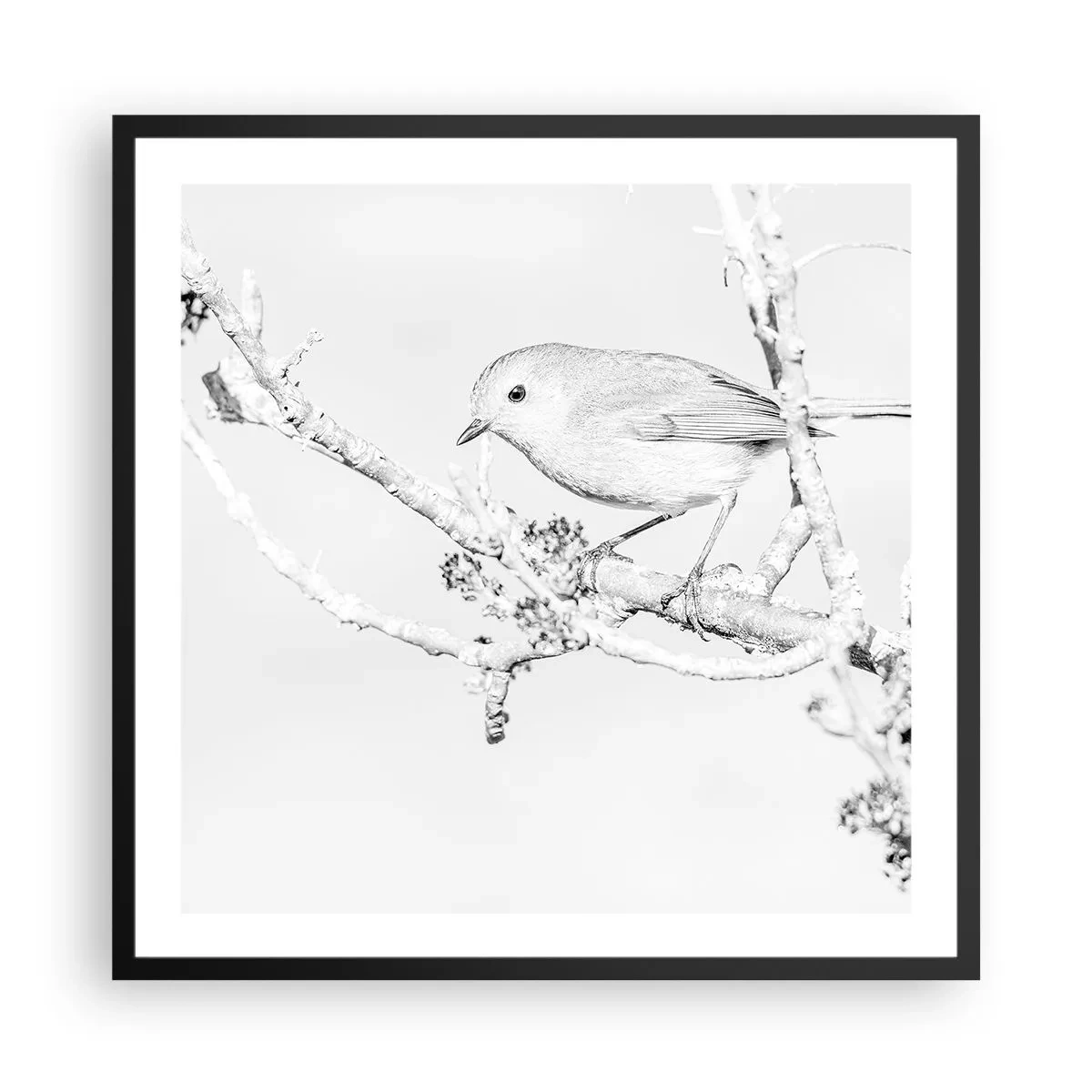 Poster in black frame - Winter Morning - 60x60 cm