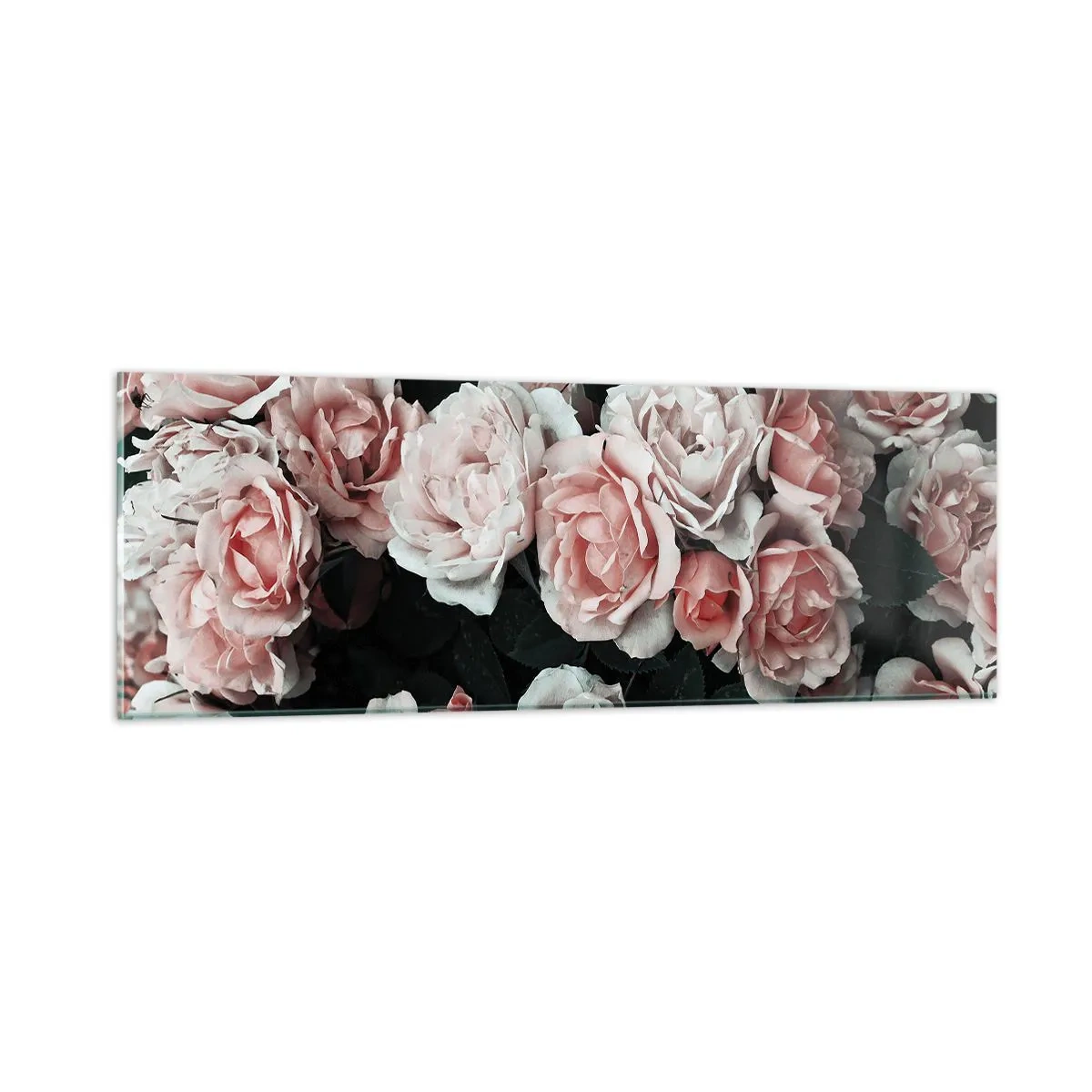 Glass picture - Rose Ensemble - 90x30 cm