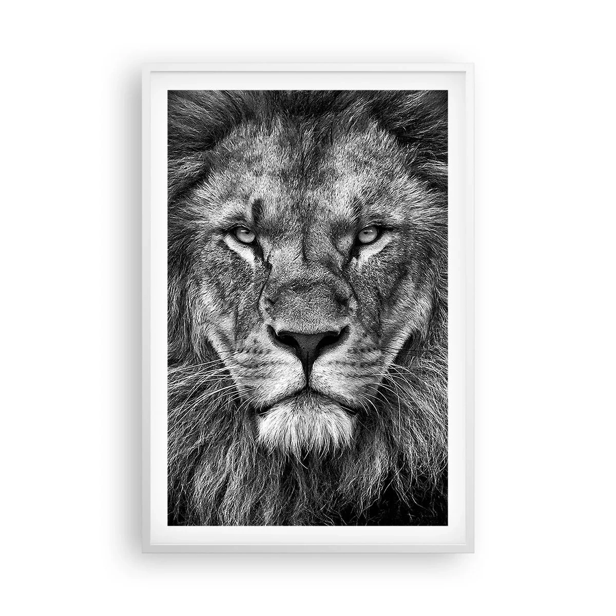 Poster in white frmae - In Coronation Clothes - 61x91 cm