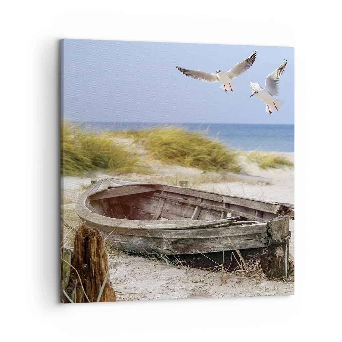 Canvas picture - Bathed in the Sun - 50x50 cm