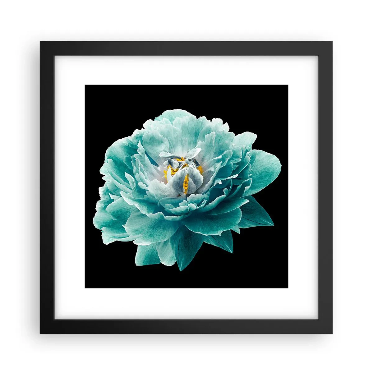 Poster in black frame - Blue and Gold Petals - 30x30 cm