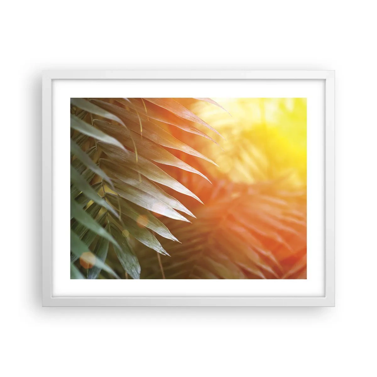 Poster in white frmae - Morning in the Jungle - 50x40 cm