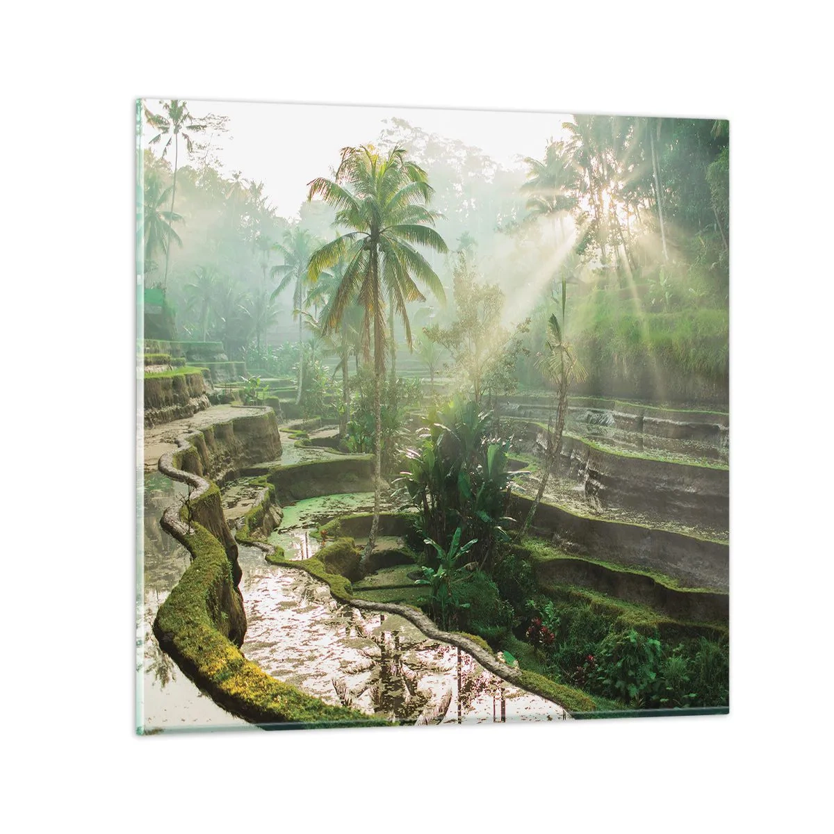 Glass picture - Maturing in the Sun - 30x30 cm