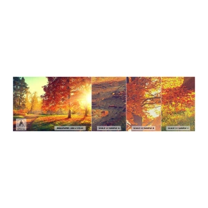 Photo Wallpaper Sample Premium Canvas - Ginger Is Beautiful - Landscape, Park, Nature - 100x30 cm
