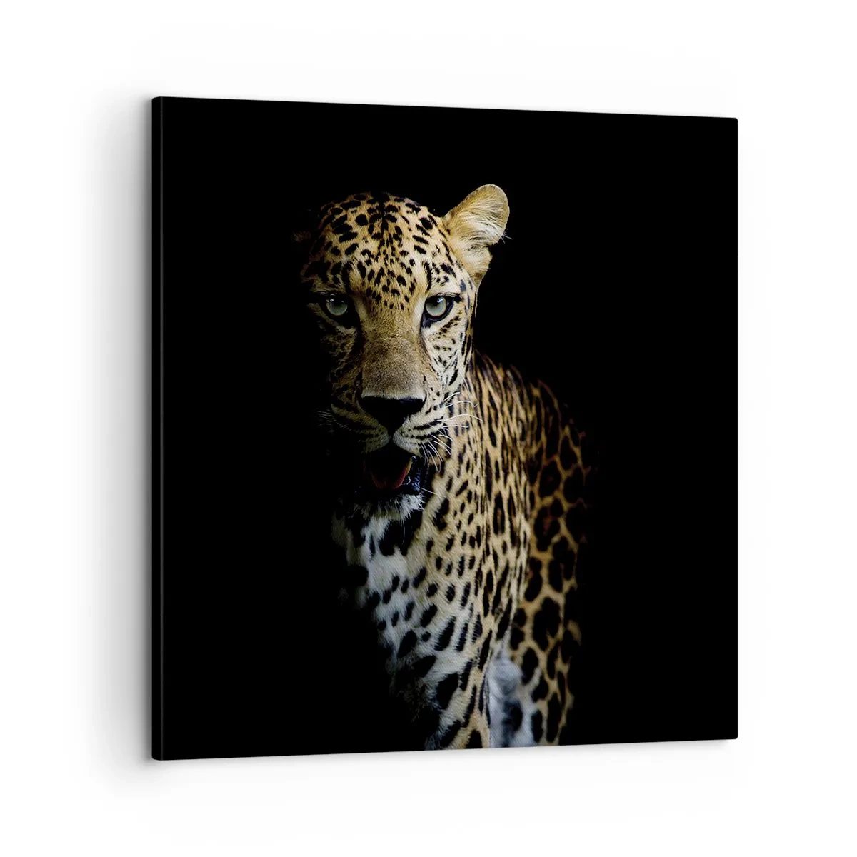 Canvas picture - Dark Beauty - 60x60 cm