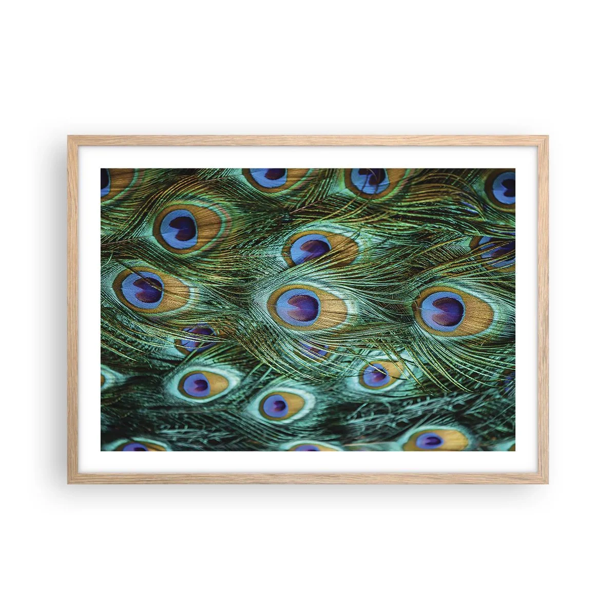 Poster in light oak frame - Peacock Eyes - 70x50 cm