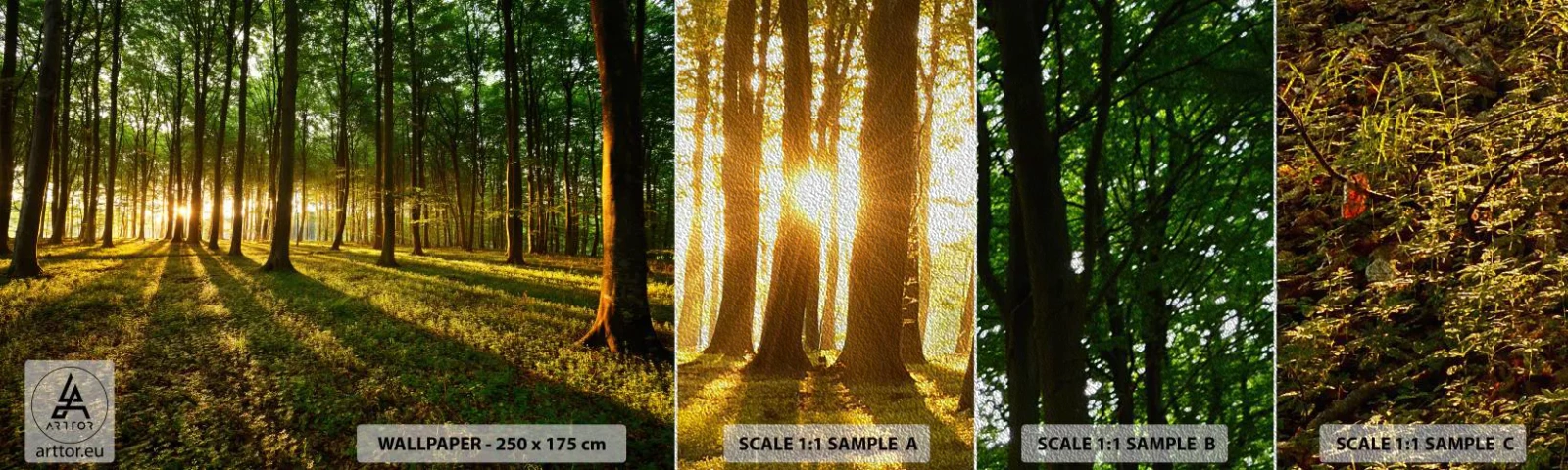 Photo Wallpaper Sample Premium Sand - Photography of All Springs - Landscape, Forest, Nature - 100x30 cm